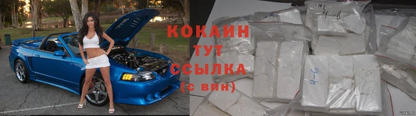 винт Дмитров